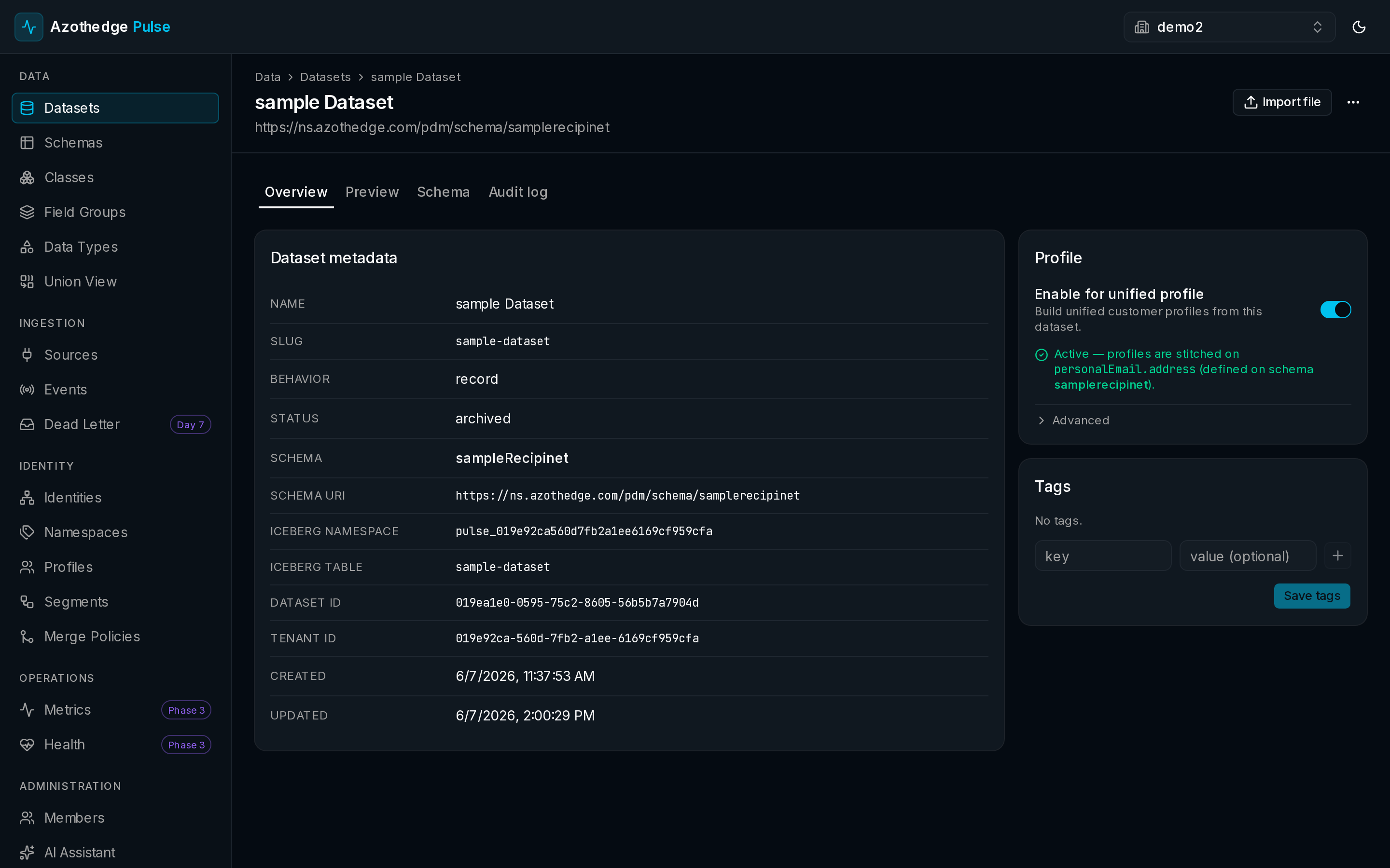 A dataset detail view with a preview of its records