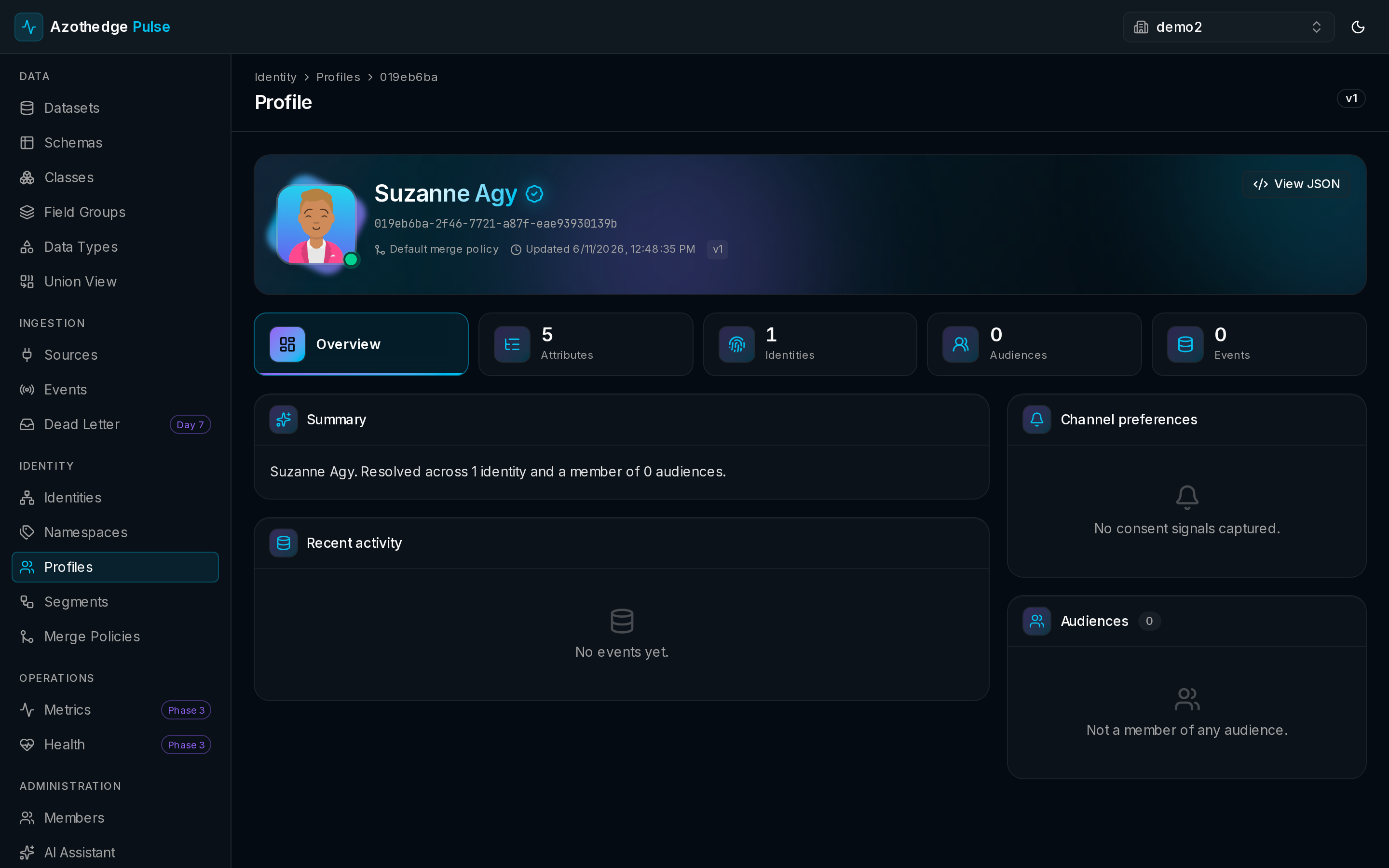 A customer profile in Pulse, showing the person's name, identifiers, attributes, and recent activity